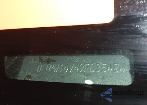 2009 Ford F-150 Xlt from USA, damaged, VIN 1FTPW14V49FB35484